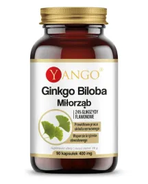 ginkgo-biloba-ekstrakt-90-kaps-yango