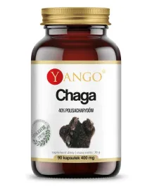 chaga-ekstrakt-10percent-polisacharydow-90-kaps-yang