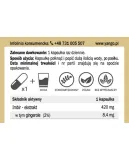imbir-ekstrakt-90-kaps-yango-przeznaczenie-uniwersalne