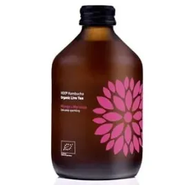 kombucha-z-mango-i-marakuja-bezglutenowa-bio-330-m