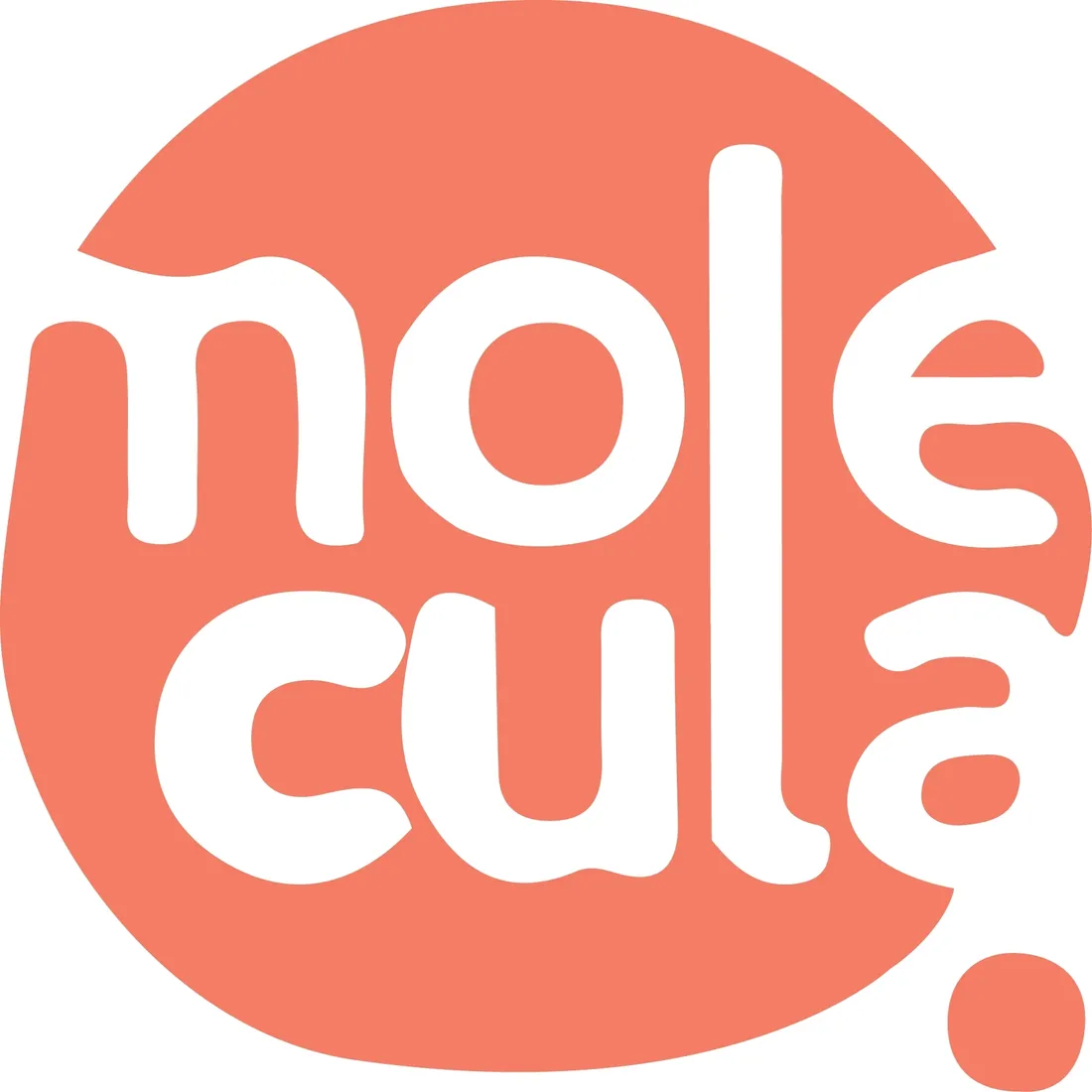 molecula-syrop-do-bubble-tea-0-5l-sok-koncentrat-melon