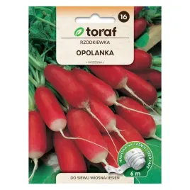 rzodkiewka-opolanka-tasma-6m