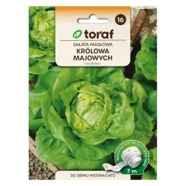 salata-maslowa-glowiasta-krolowa-majowych-tasma-7m