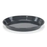 p06650