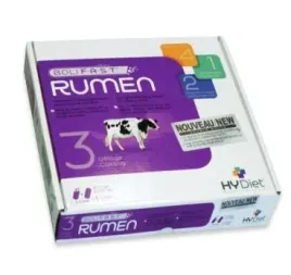 boliflash-rumen-6-dawek-12-szt-kersia