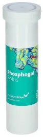 bolus-dla-krow-zagrozonych-zaleganiem-phosphogol-4-x-185-g-agrochemica