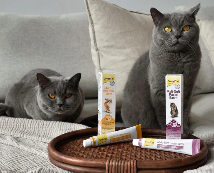 gimcat-malt-soft-paste-extra-100g-rodzaj-inny