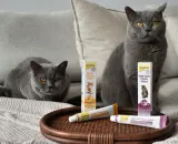 gimcat-malt-soft-paste-extra-100g-rodzaj-inny