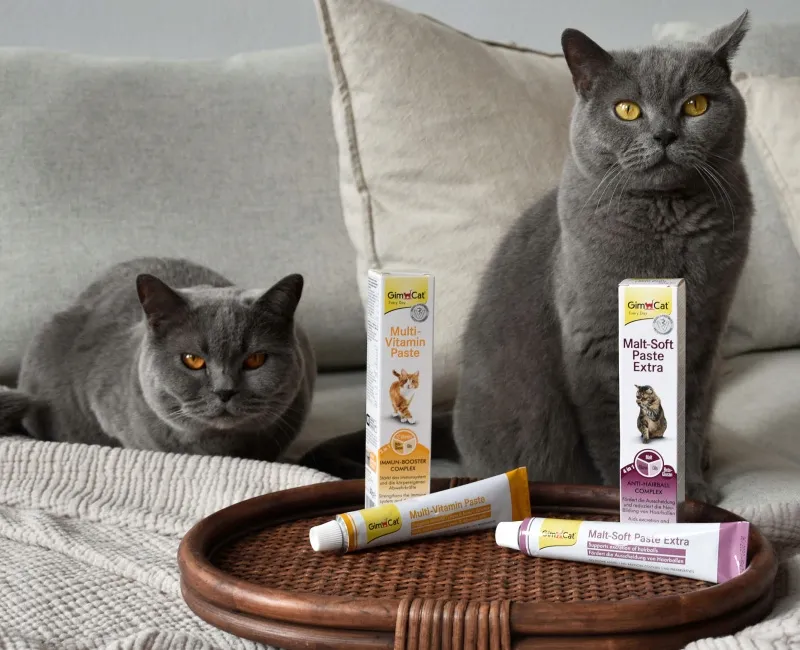 gimcat-malt-soft-paste-extra-100g-marka-gimcat