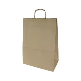 torba-torby-papierowe-braz-305x170x445-torebka-eko-30x17x44-100szt