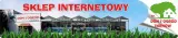 pomidory-yellowstone-nasiona-02-g-cykl-rozwojowy-rosliny-jednoroczna