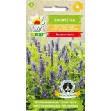 nasiona-kocimietka-04-g