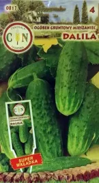 ogorek-gruntowy-dalia-f1-5g