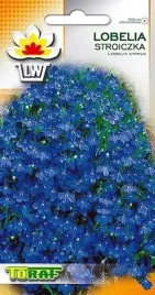 nasiona-lobelie-lobelia-stroiczka-01-g