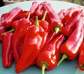 papryka-wika-szklarniowa-pod-oslony-nasiona-05g