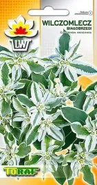 nasiona-bialobrzegi-03-g