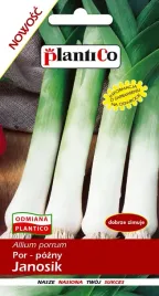 por-janosik-polski-pozny-gruby-nasiona-pora-1g