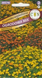 aksamitka-waskolistna-ogrodowa-mix-kolorow-drobne-kolorowe-aksamitki-kwiaty