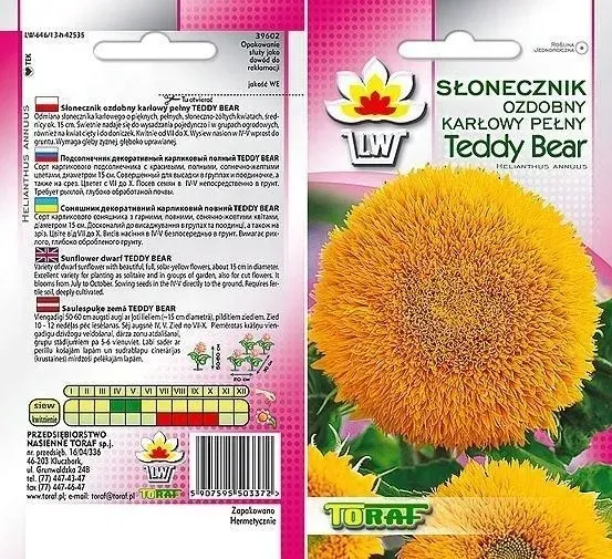 nasiona-slonecznik-teddy-bear-2g