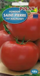 pomidor-malinowy-gruntowy-wysoki-saint-pierre-05g