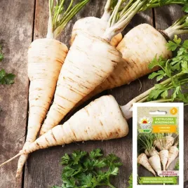 nasiona-pietruszka-cukrowa-wczes-5g-wiosena-ozima