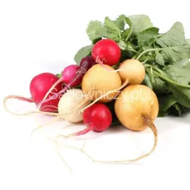 nasiona-mieszanka-roslin-mieszanka-kolorowych