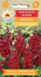 lwia-paszcza-karmiwnowa-wysoka-dlugo-kwitnie-nasiona-kwiatow