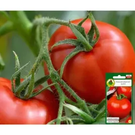 pomidor-gruntow-ulan-gladki-twardy-owoc-wczesne-miesiste-pomidory-nasiona