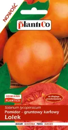 nasiona-pomidor-lolek-pozny-gruntowy-samo-konczacy
