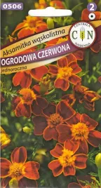 aksamitka-czerwona-waskolistna-ogrodowa-drobne-czerwone-aksamitki-kwiaty