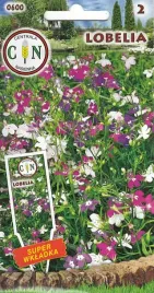 lobelia-mix-kolorow-lobelie-piekny-dywan-kwiatowy-z-lobelii