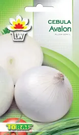 cebula-avalon-biala-wczesna-delikatny-smak-nasiona-cebuli-bialej-3g