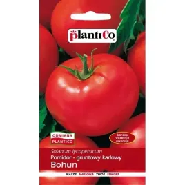 pomidor-gruntowy-bohun-1g-karlowy-bardzo-wczesny