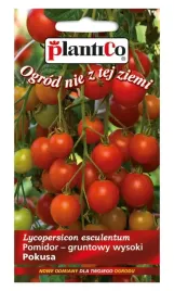 nasiona-pomidor-pokusa-czeresniowy-gruntowy-wysoki