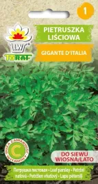 pietruszka-lisciowa-naciowa-gigante-d-italia-2g