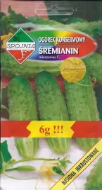 ogorek-sremianin-f1-gruntowy-b-wczesny-nasiona-6g