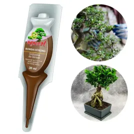 aplikator-do-drzewek-bonsai-drzewka-karlowe-nawoz-odzywka-eliksir-ampulka