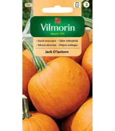 jack-olentern-nasiona-2-g