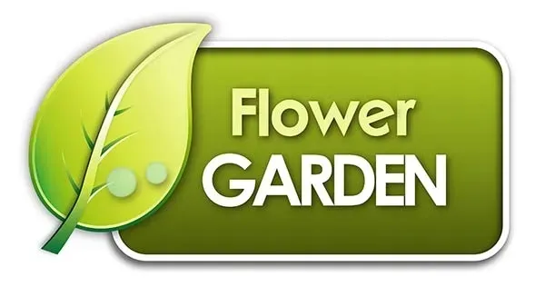 nasiona-ogorecznik-2-g-waga-z-opakowaniem-0-kg