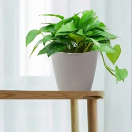 doniczka-lamela-155-x-137-cm-tworzywo-sztuczne-o