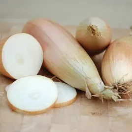 vilmorin-cebula-tosca-bananowa-2g-wloski-rarytas-nasiona-cebuli-sr-pozna