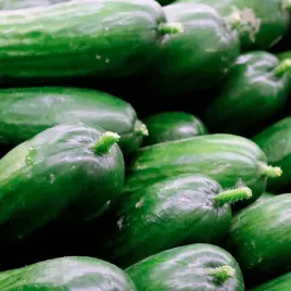 ogorek-pokusa-f1-dlugi-salatkowy-szklarniowy-nasiona-ogorkow-ogorki