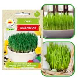 nasiona-owies-wielkanocny-30g-zielony-swiateczny