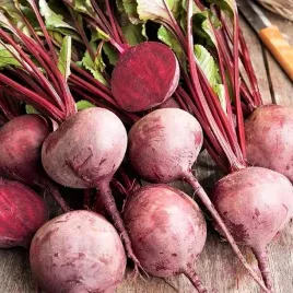 burak-czerwona-kula-cwiklowy-bardzo-smaczny-plenny