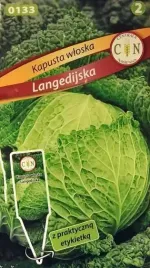 kapusta-wloska-langedijska-pomarszczona-duze-glowki-nasiona-kapusty
