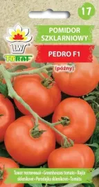 pomidor-szklarniowy-pedro-f1-toraf-02-g