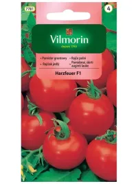 vilmorin-pomidor-harzfeuer-f1-bawole-serce-pozny