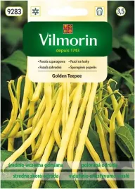 vilmorin-nasiona-fasola-szparagowa-golden-teepee-karlowa-plenna-30g