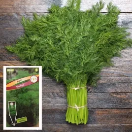 nasiona-koper-ogrodowy-kronos-5g-bardzo-plenny