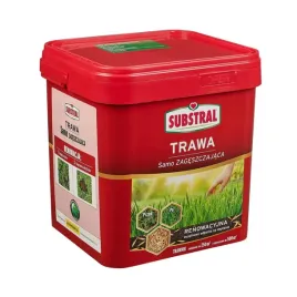 trawa-samozageszczajaca-nasiona-trawnik-substral-5